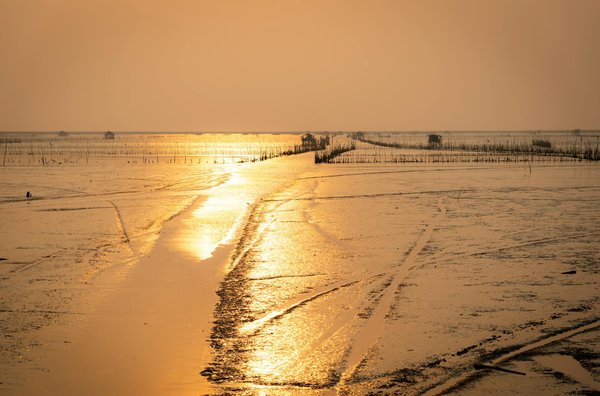 Où pratiquer le snorkeling au milieu des raies manta à Hawaii ?